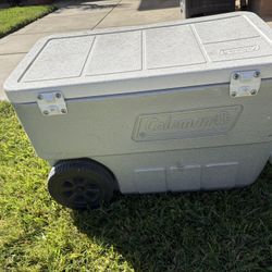 Cooler