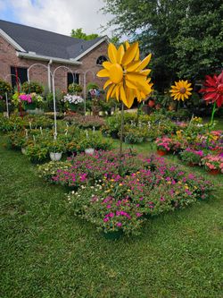 ELEVENTH NEW SHIPMENT ARRIVE MAY 22th Beautiful and Healthy HANGING BASKETS PLANTS ARRIVED.