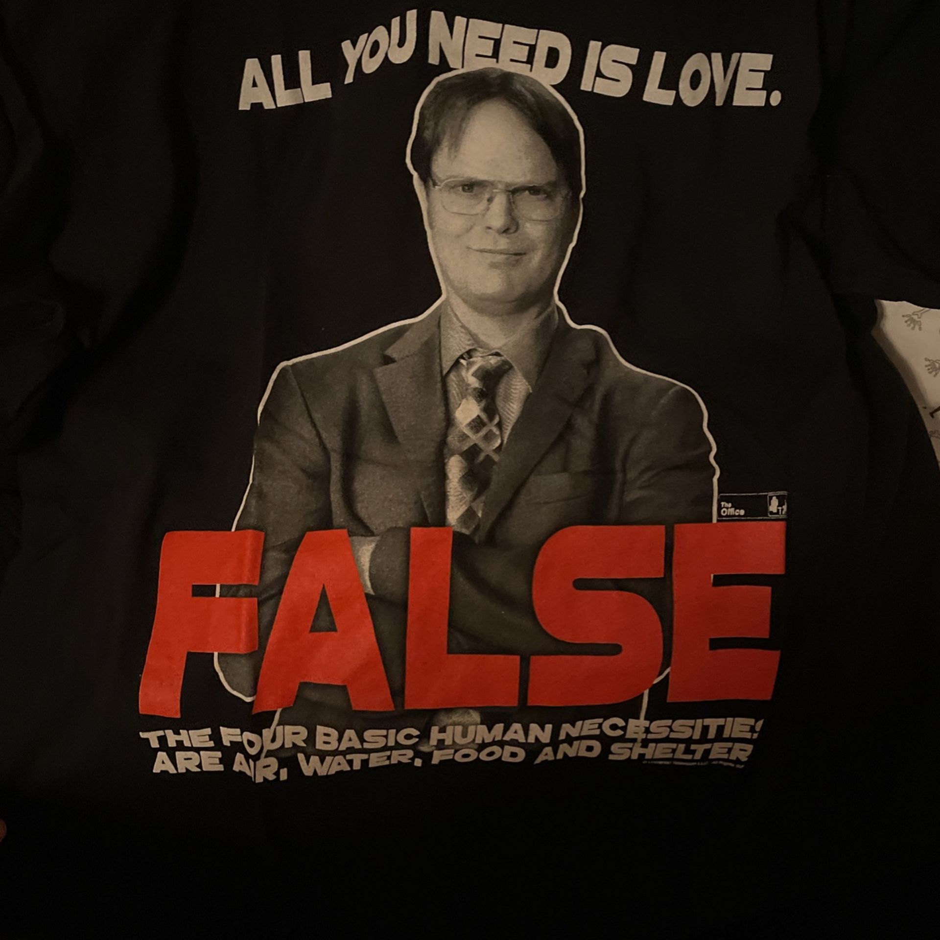 Dwight T Shirt