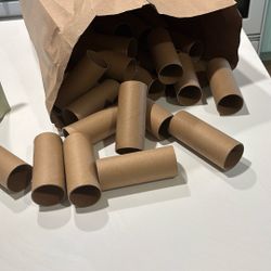 FREE- Toilet Paper Rolls For Craft
