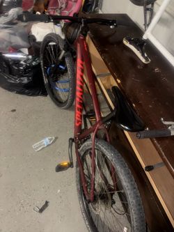 Specialized pitch and state 54”