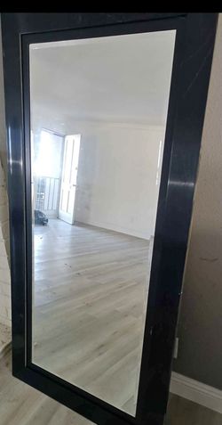 Mirror Tall Full Length Body  Size (67.5 Tall X 33.5 Wide)