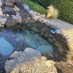 Waterfall Stream Pond