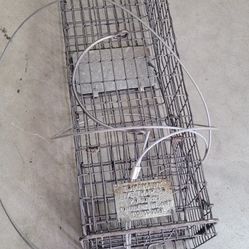 Animal Trap 