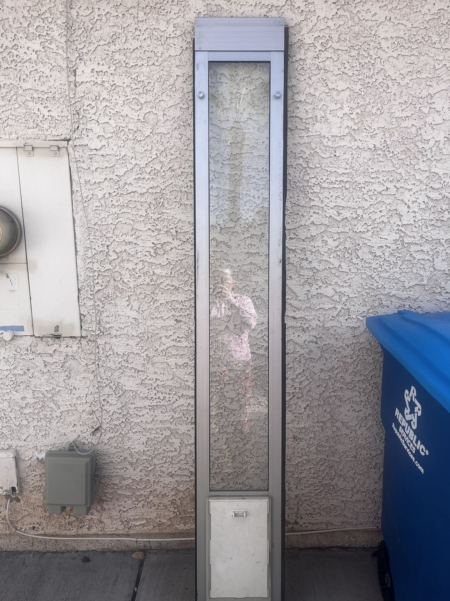 Small Dog. Doggie Door