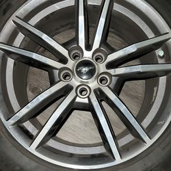 Set of wheels/tires mustang premium