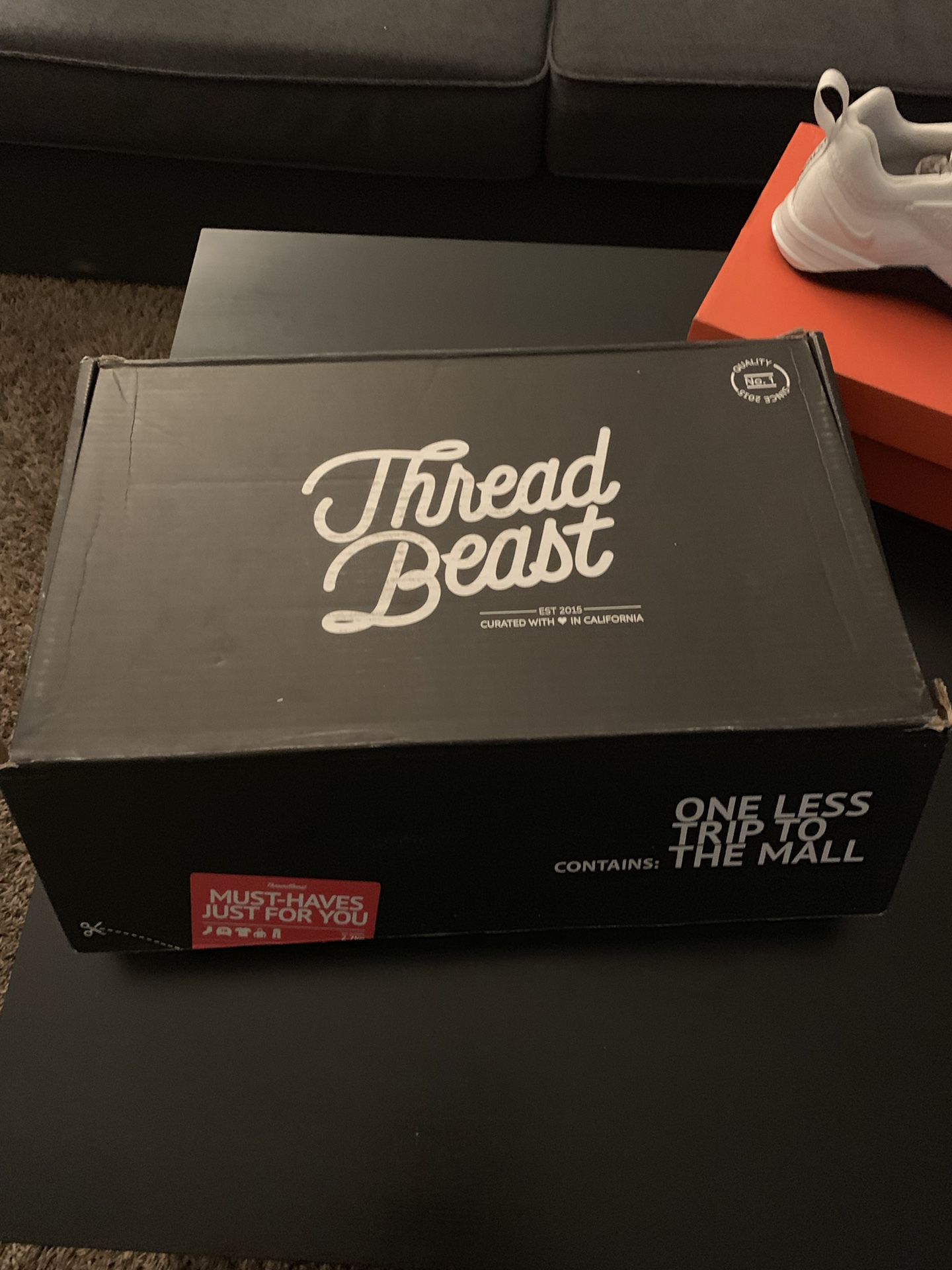 2 ThreadBeast Box’s Worth of Clothes