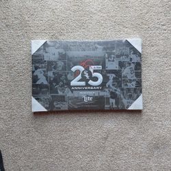 Chicago White Sox Ballpark 25th Anniversary Wall Canvas