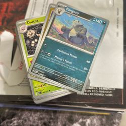 Pokémon Ascended Heroes 