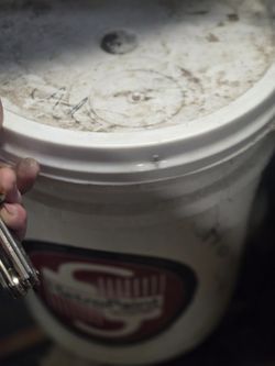 Interior/exterior Paint 5 Gal Color: Sand Dune