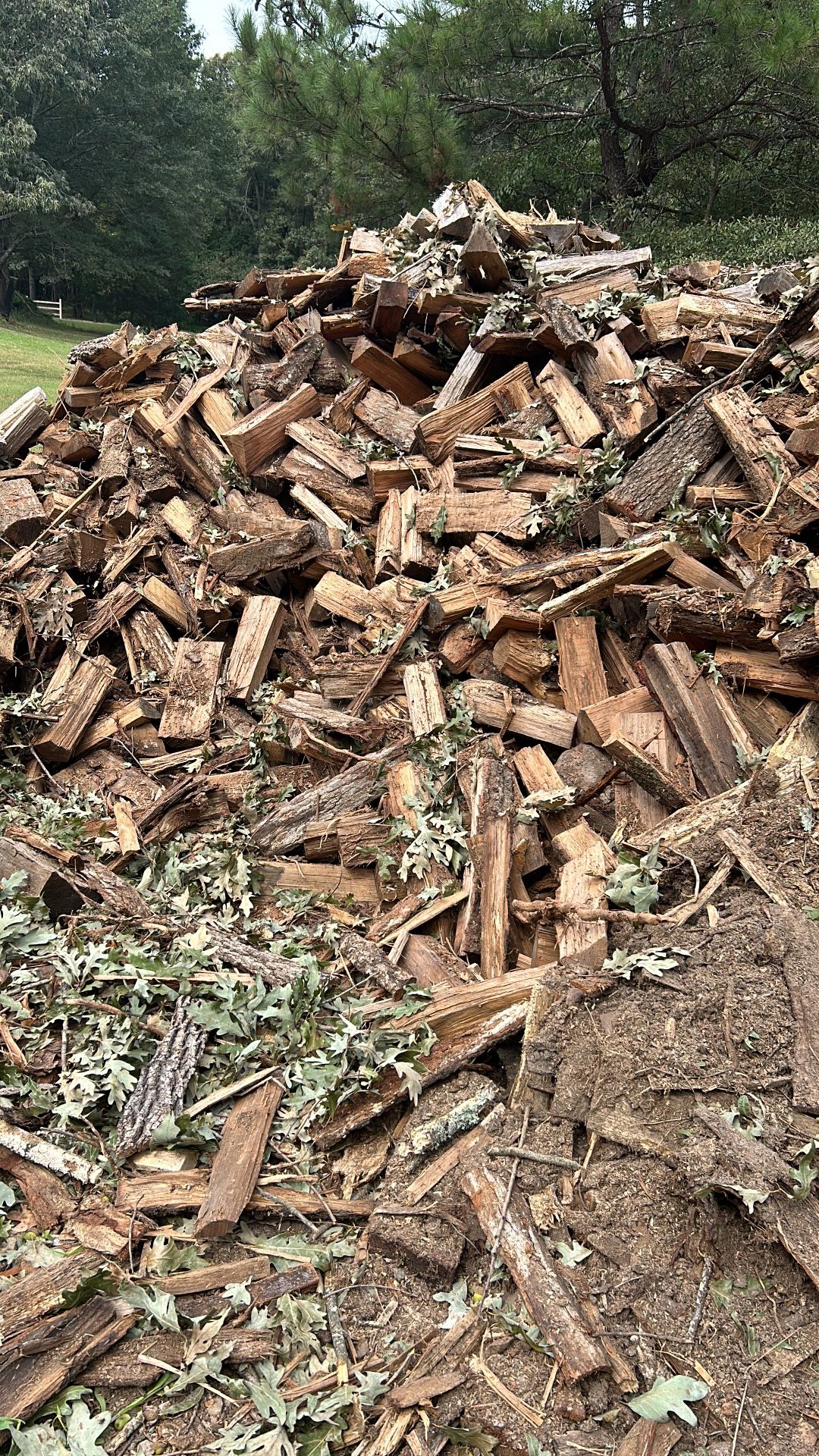 Firewood