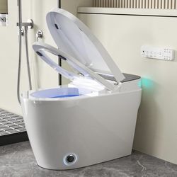 Smart Toilet with Bidet Built in Heated Seat, Smart Tankless Toilet with Warm Water and Dryer, Fahre