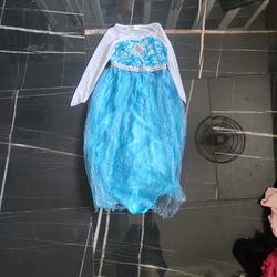 Blue Elsa Dress 