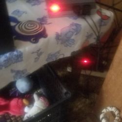 Nintendo Old But works good