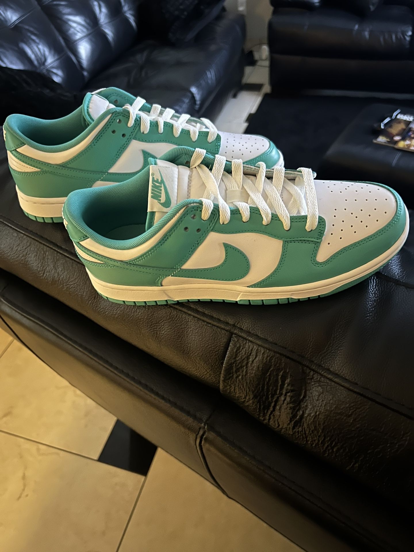 Nike Dunks New!