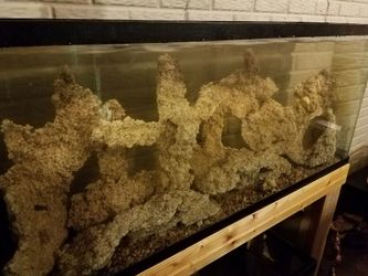 fresh or saltwater rock for sale