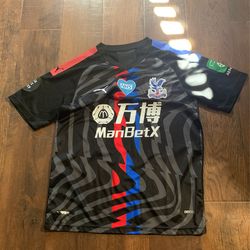 Crystal Place Jersey