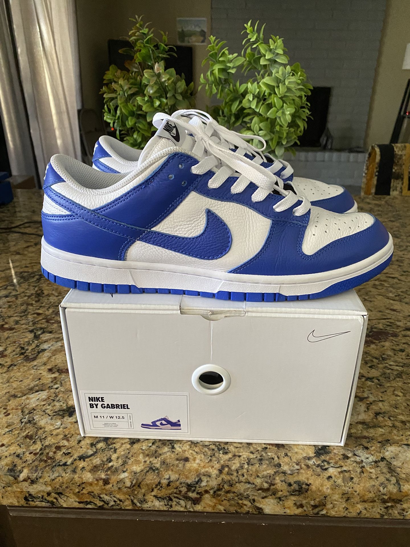 Nike Dunk Low Premium Leather $100 FIRM