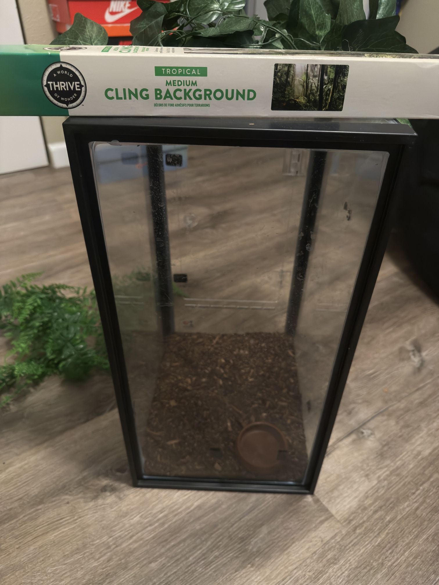 Glass Enclosure