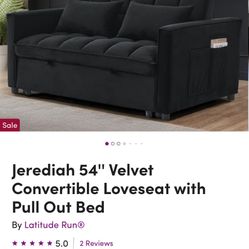 54” Velvet sofa Bed 