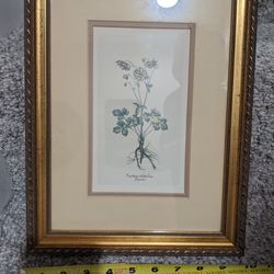 Neiman Marcus Floral Framed Art