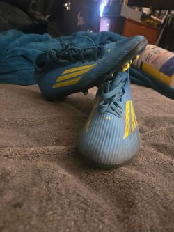 F50s