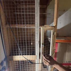 Selling Bird Cage
