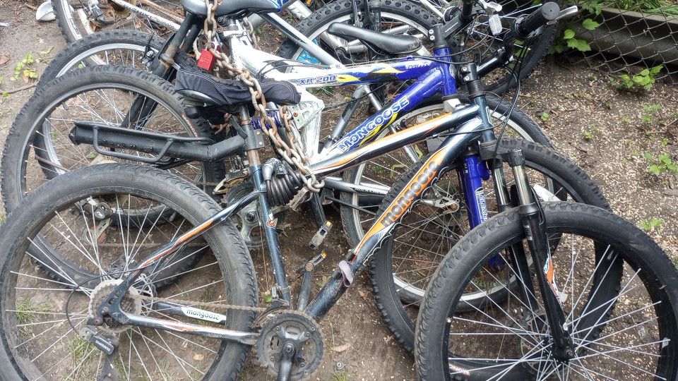 Mongoose Mountain Bike Fat Tire