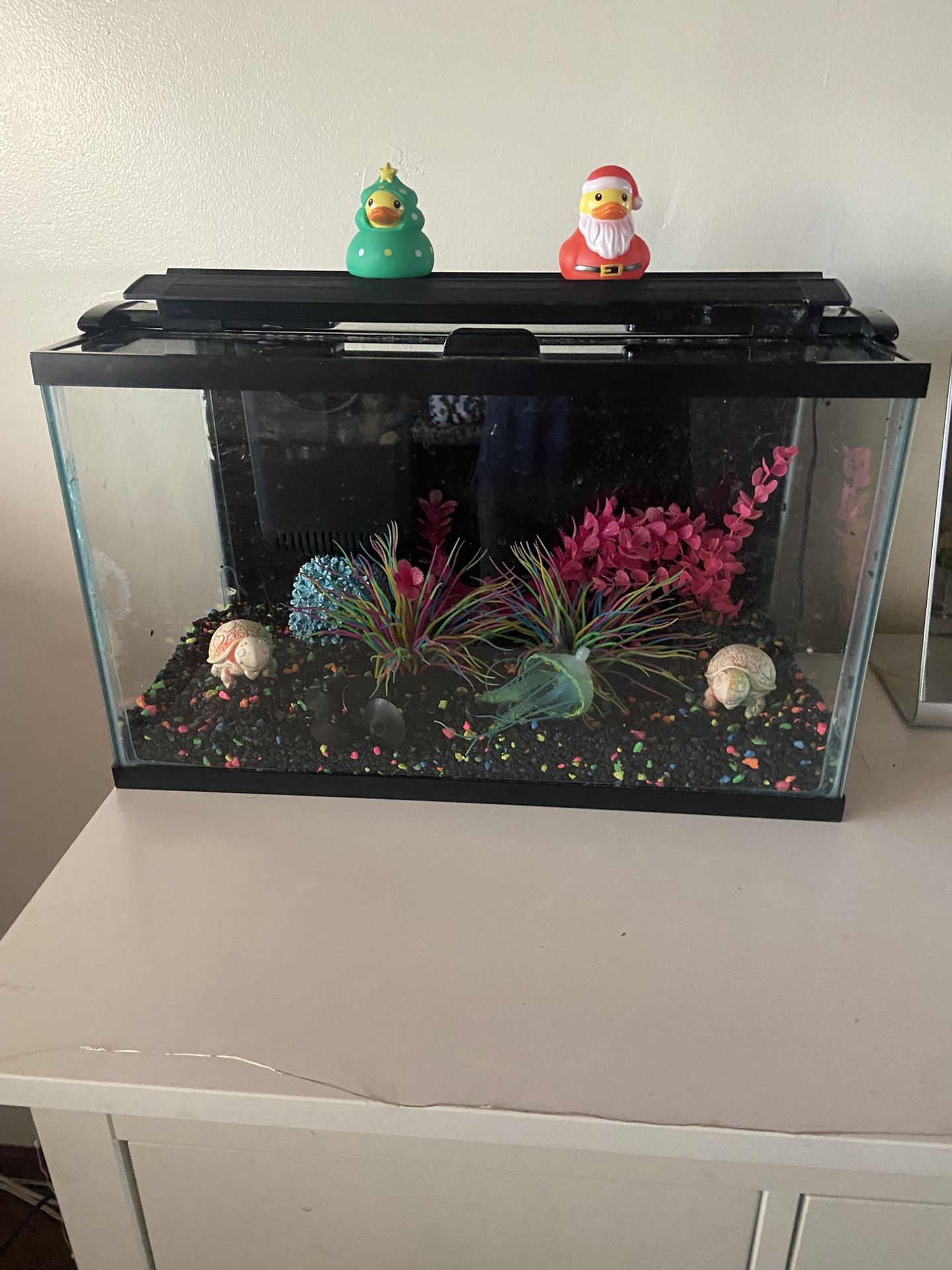 Ten Gallon Fish Tank Aquarium