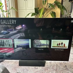 65” LG OLED TV – works great, discounted for screen burn-in