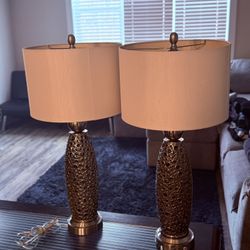 Lamps (x2)