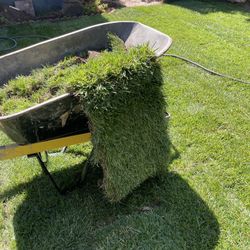 Sod And Sprinklers $3 Per Sq Ft 