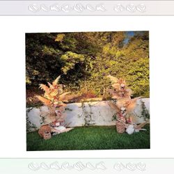 Tailored Wedding Backdrops Design Your Perfect Wedding Day determine check