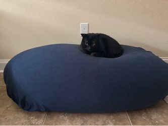 Moon pod bean bag for sale