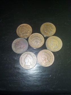 Indian head pennies
