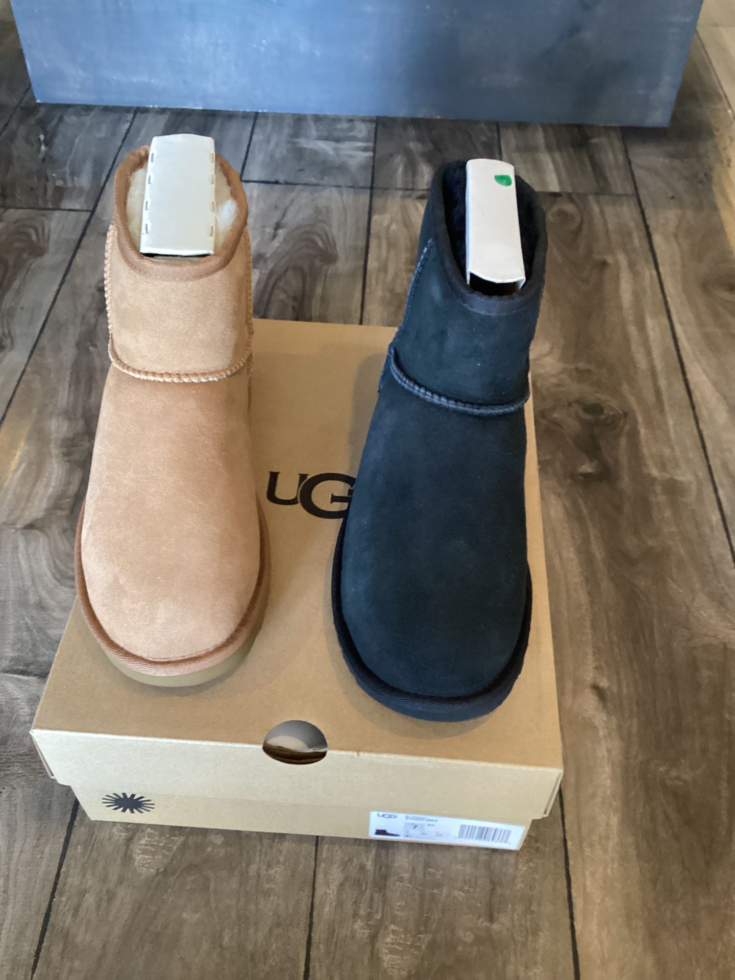 Uggs Woman, Classic Short