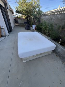 Free Bed