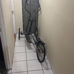 Eliptical Bicicle 