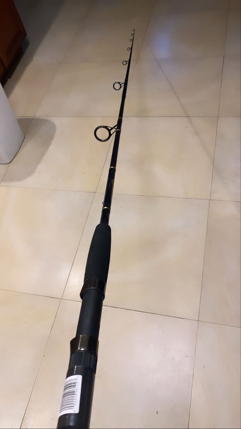 10ft fishing rod