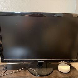 ASUS Monitor