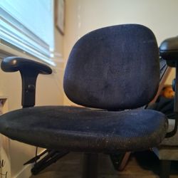 Vogel Peterson Office Chair