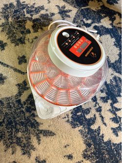 Automatic egg incubator