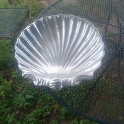 Shell Shaped Server 
