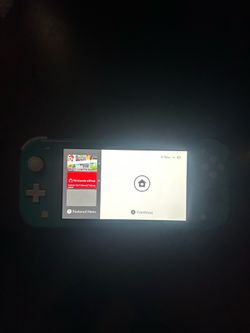 Nintendo switch lite