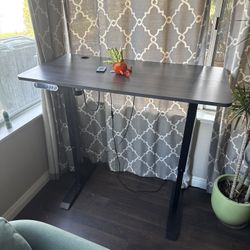Standing Desk 