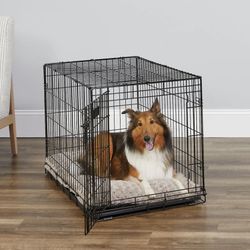 MidWest iCrate Fold & Carry Single Door Collapsible Wire Dog Crate, 36 inch +  Crate Mat 
