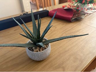 Nice Realistic Faux Aloe Vera Plant