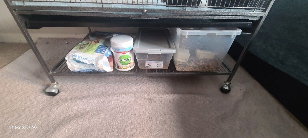 Bird Cage For Sale