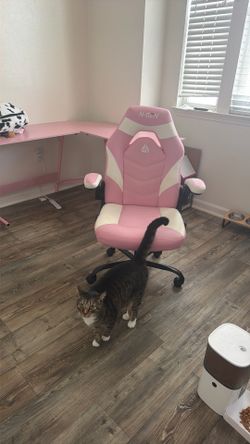 Pink N-GEN Gaming Chair