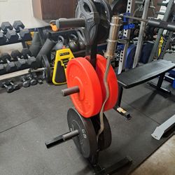 Olympic Plate Weight Tree 